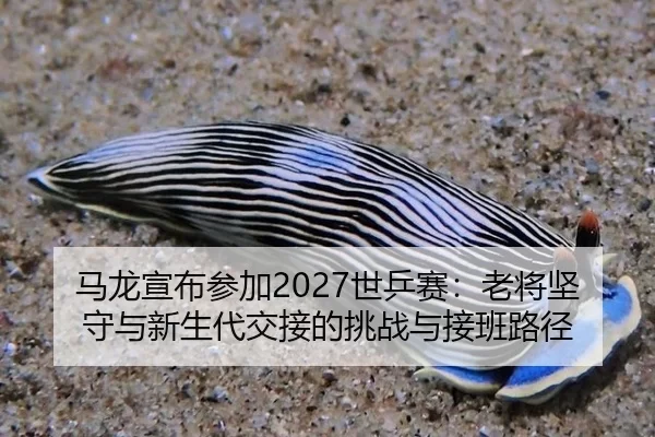 马龙宣布参加2027世乒赛：老将坚守与新生代交接的挑战与接班路径